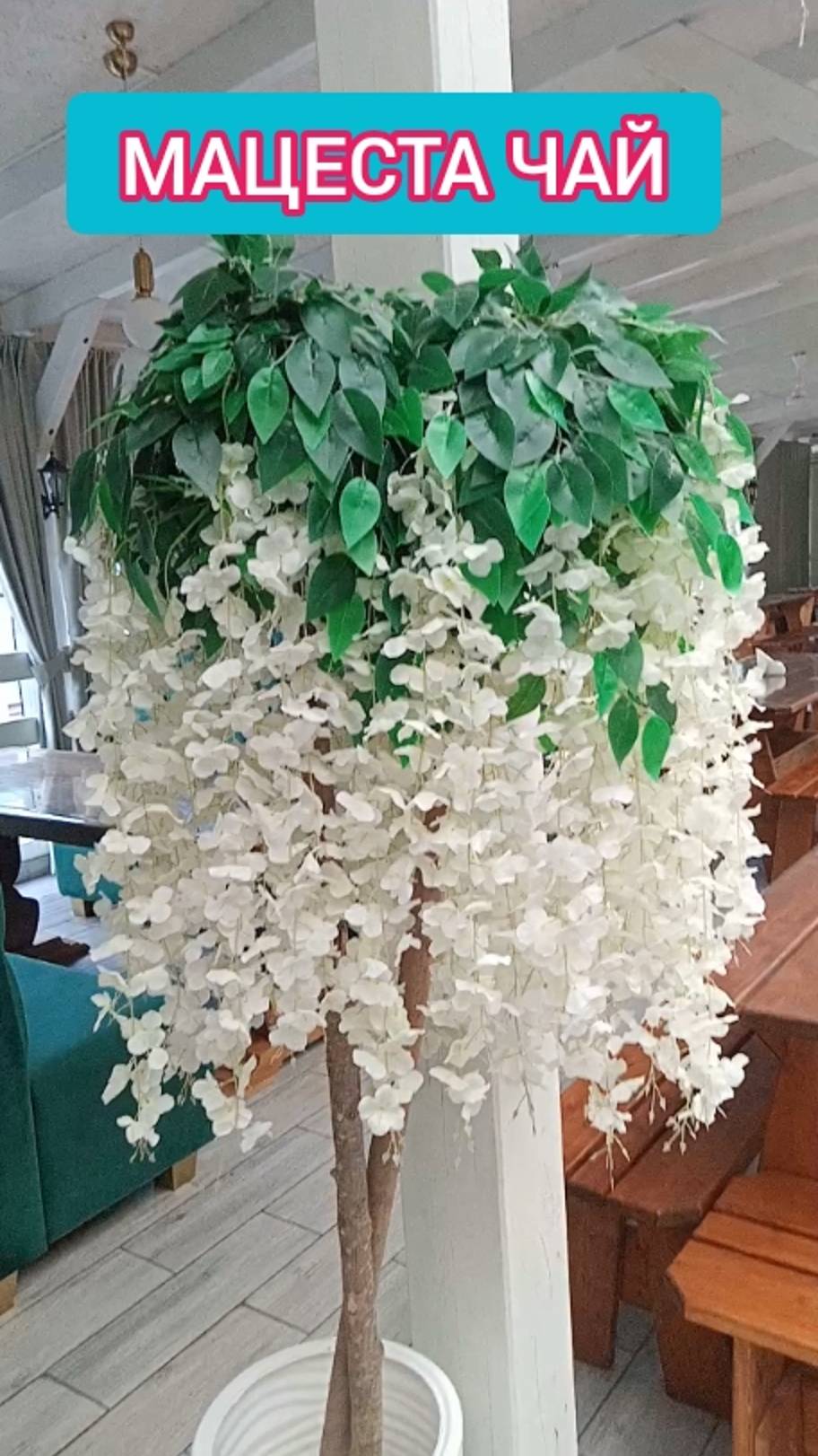 ИНТЕРЕСНЫЕ МЕСТА РОССИИ. СОЧИ. КАФЕ МАЦЕСТА ЧАЙ смотреть онлайн