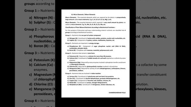 2Sem BOT-121 смотреть онлайн