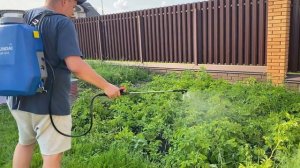 Аккумуляторный опрыскиватель Hyundai HYSP 1212