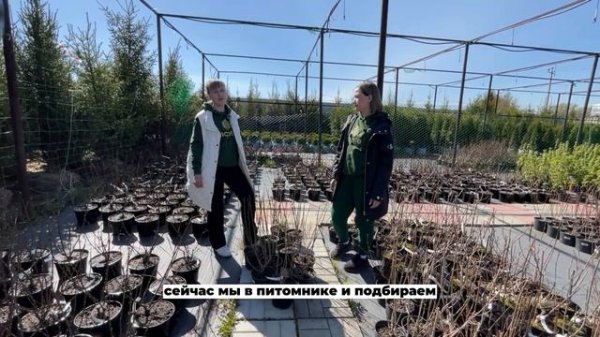 СЕКРЕТЫ ВЫБОРА РАСТЕНИЙ В ПИТОМНИКЕ