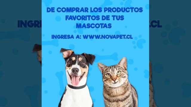 Todo para tu mascota en Novapet смотреть онлайн