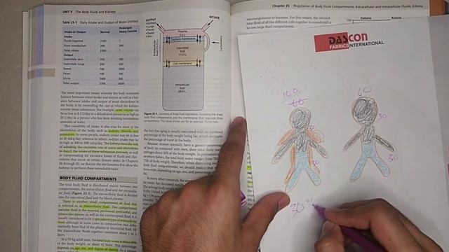 Guyton chapter 25 part 1 of 4 смотреть онлайн