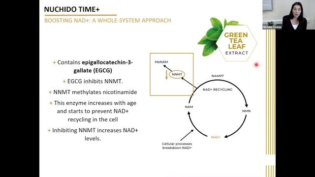 Enhancing Your Practice with NAD+ Supplement Nuchido TIME+: Seminar recording and Q&A смотреть онлайн