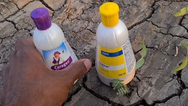 coragen vs vesticor kon si kharide कोराजन और वेस्टीकॉर मे अंतर #fmccorageninsecticide #basfvesticor смотреть онлайн
