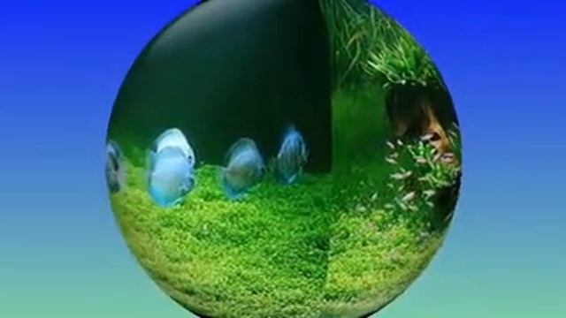 ФУТАЖИ ДЛЯ ВИДЕОМОНТАЖА смотреть онлайн