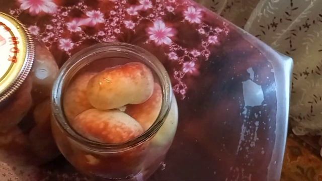 Научный клуб