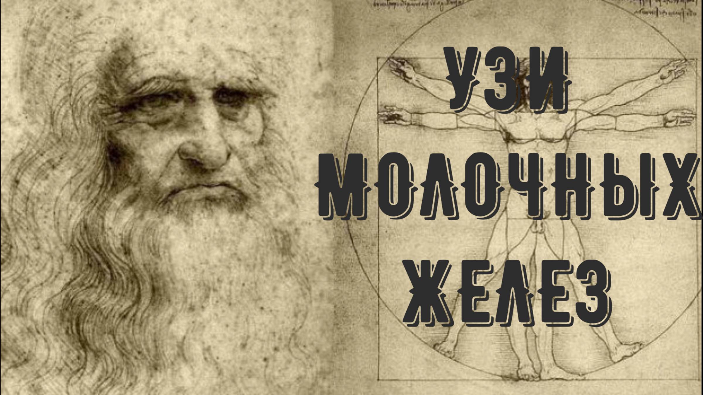 КАК ВЫГЛЯДЕТ РАК НА УЗИ МУСТАФИН ЧИНГИС КУРС МАММОЛОГИИ 79104653497 смотреть онлайн