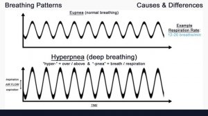 Breathing Patterns! Cheyne Stokes, Biot's, Kussmaul's, Apnea, and more...