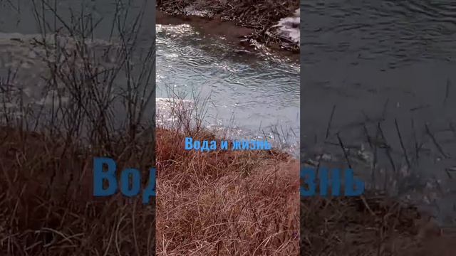 вода и жизнь смотреть онлайн