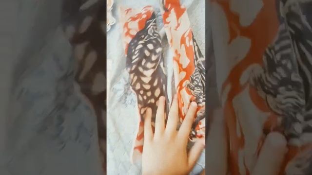 что я купила на OZON смотреть онлайн