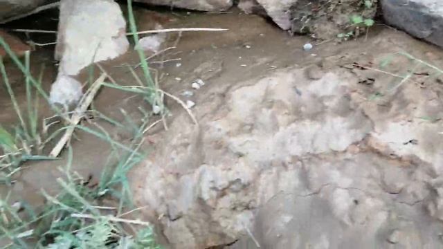 Чуй пауки. Кыргыстан.