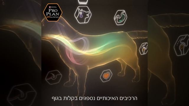 Purina 30s 1 1 смотреть онлайн