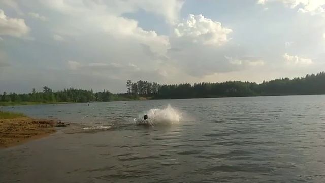 Прыжок в озеро) смотреть онлайн