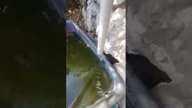 Aqventus, 140 Liters A Day 1