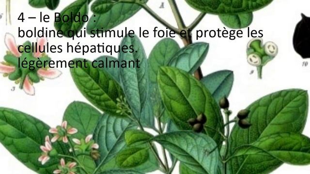 Comment détoxifier son foie naturellement ? #NAC #glutathion #detox #foie #liver #hepatitisb смотреть онлайн