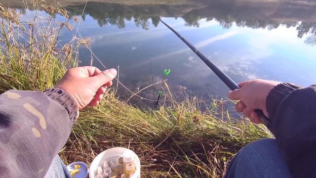 Ловля ЖЁЛТОГО КАРАСЯ на поплавок. Мысли по поводу ловли смотреть онлайн