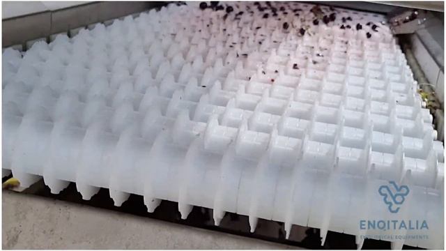 Gamma Jolly Reverse, le tre versioni principali смотреть онлайн