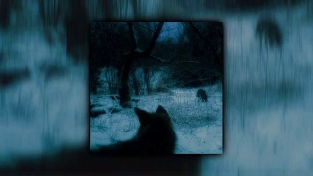 Crystal Castles - Kerosene (slowed + Reverb)