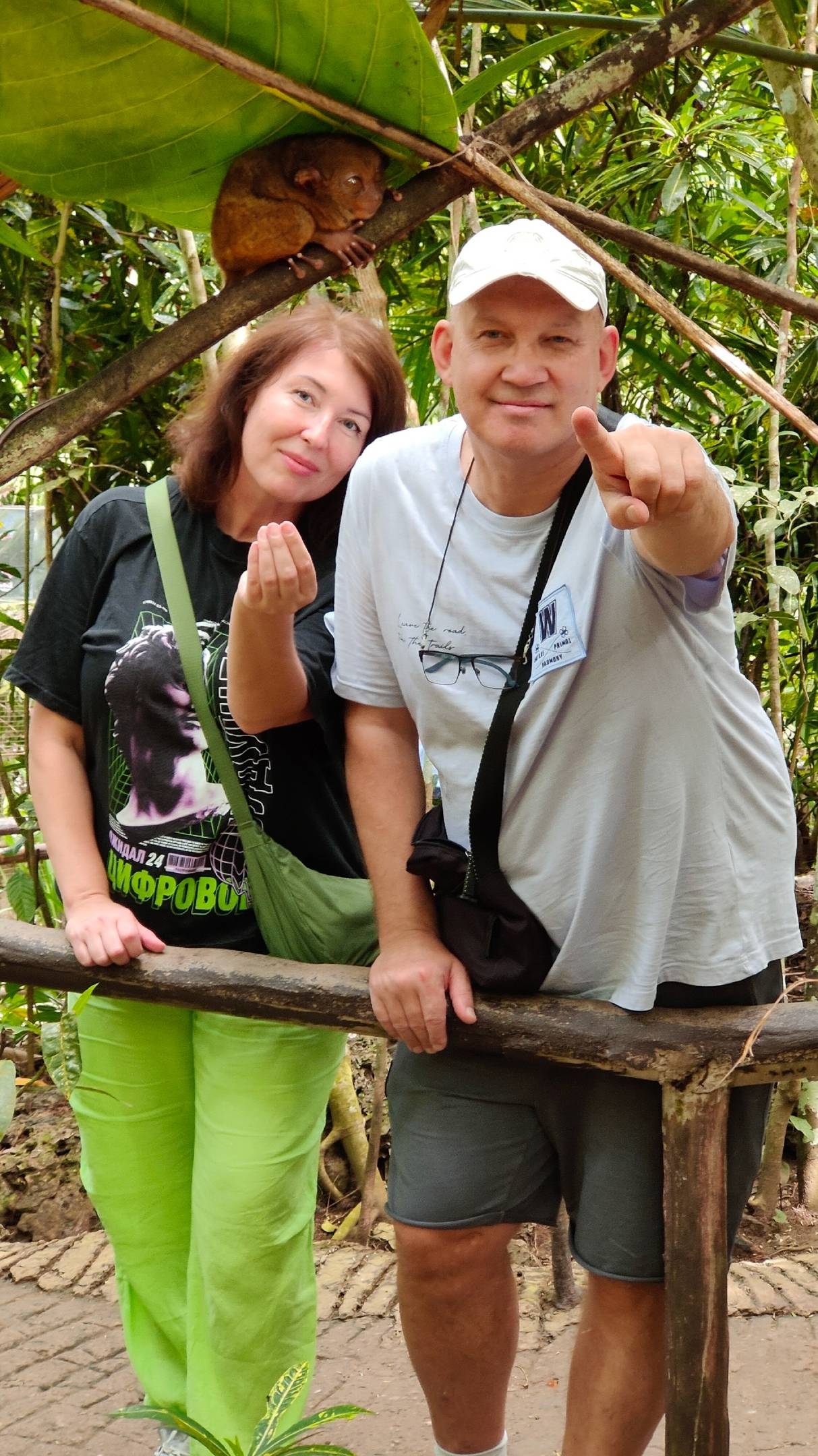 Долгопяты на Филиппинах смотреть онлайн