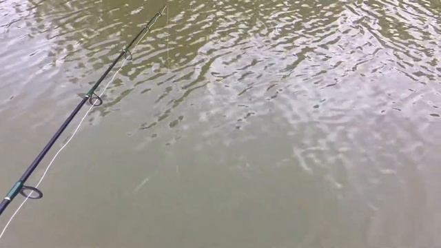 Starburst vs Fish. смотреть онлайн
