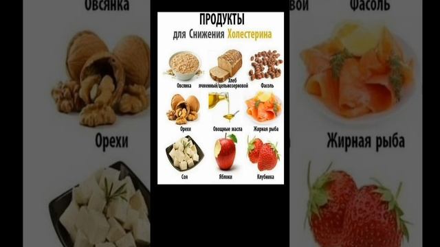 ПРОДУКТЫ ДЛЯ СНИЖЕНИЯ ХОЛЕСТЕРИНА смотреть онлайн