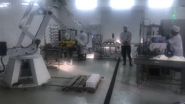 Робот паллетайзер смотреть онлайн