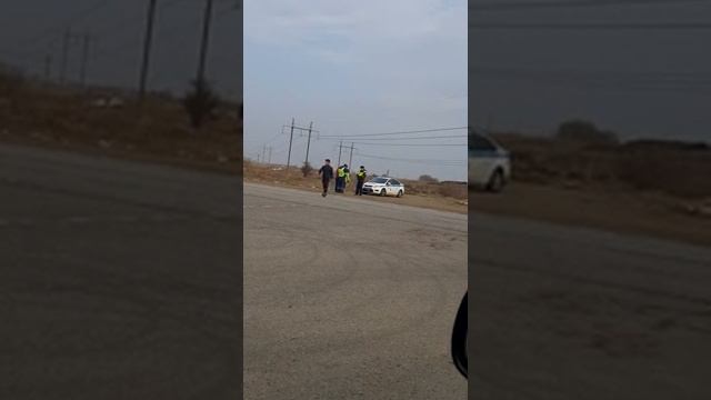 Точико гаира шапалокати мезана смотреть онлайн