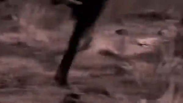 НЭНСИ- МОЙ ОГОНЁК