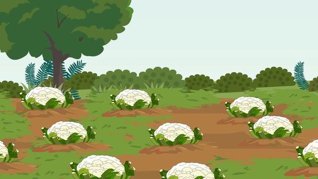Mon petit lapin s'est sauvé dans le jardin смотреть онлайн