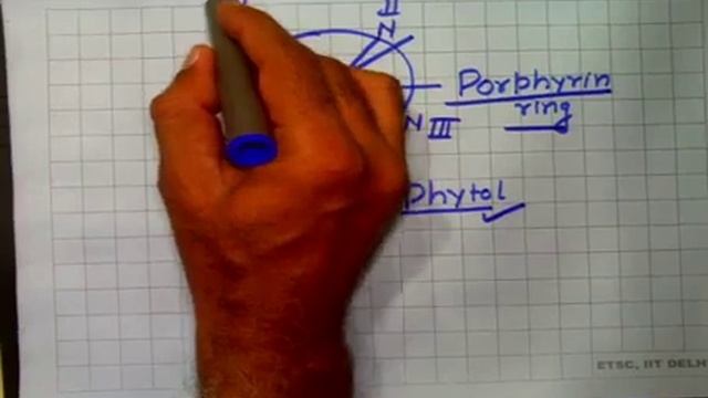 Biology Class 11 Unit 11 Chapter 01 Photosynthesis and Respiration Photosynthesis L 1/3 смотреть онлайн