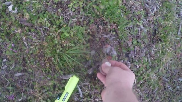Waterproof Pinpointer IP68 Metal Detector From Amazon! Lets Test It Out