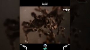 Film: Clearwater 2020