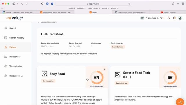 How and why should you use Radars on our platform - Valuer смотреть онлайн