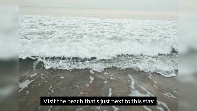 Coconut Grove, Goa смотреть онлайн