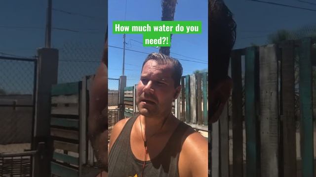 How much water do we need? смотреть онлайн
