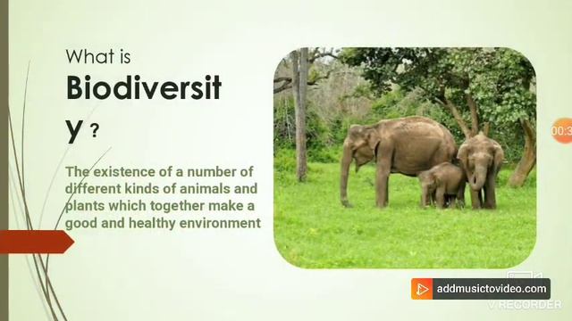 PPT ON FLORA AND FAUNA CLASS X смотреть онлайн