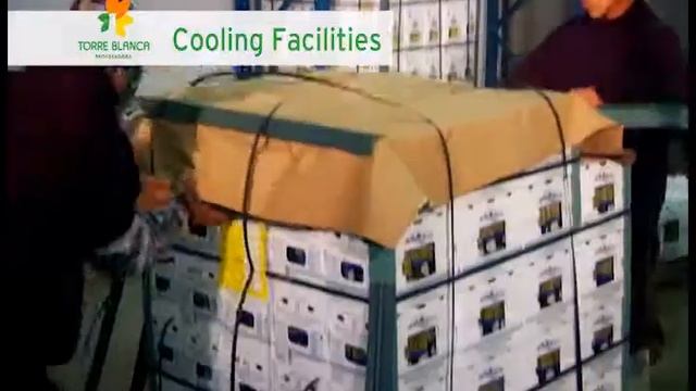 Procesadora Torre Blanca l Corporate video смотреть онлайн
