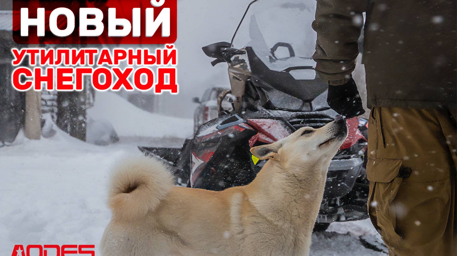 Утилитарный снегоход AODES Snowcross 1000 SWT смотреть онлайн