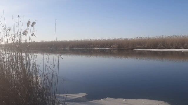 замерзшие во льду смотреть онлайн