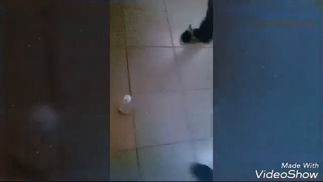Бутылка воды челендж Botle flip chalenge смотреть онлайн
