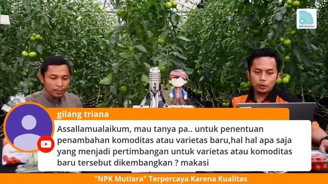 🥬🍅 SAYUR-SAYURAN HIDROPONIK SKALA INDUSTRI UNTUK PASAR PREMIUM | AMAZING FARM - TTO #7 смотреть онлайн