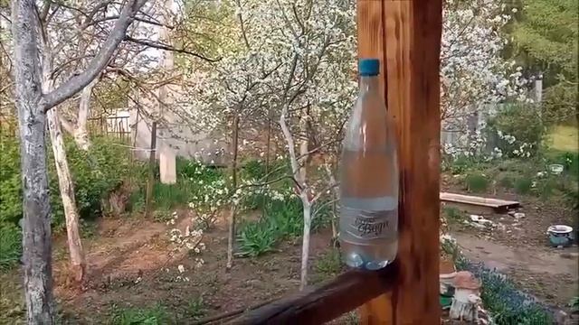 Цветущая весна с Серебряной водой! Сюжет клиента нашей компании Валентины Н. смотреть онлайн