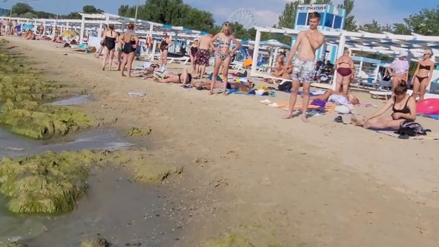 Анапа.Загораем рядом с крокодилами. смотреть онлайн