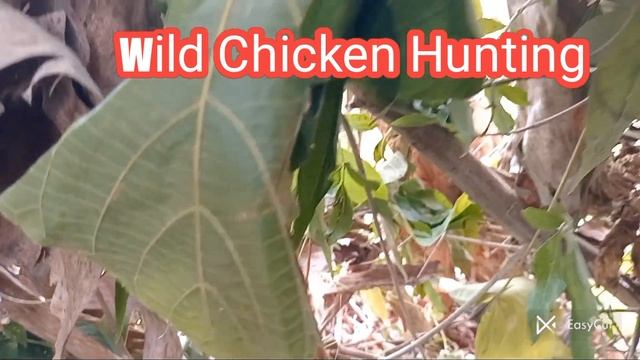 labuyo hunting muntik ng mazero buti may huli parin смотреть онлайн