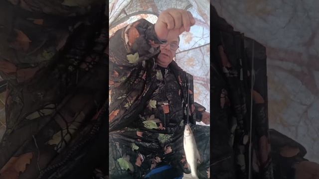 Открытие сезона твёрдой воды 2024-2025 года. Зимняя рыбалка, ловля Чебака. смотреть онлайн