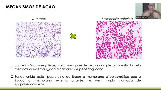Perspectivas do uso de óleos essenciais em alimentos: Efeitos benéficos e impactos na preservação d смотреть онлайн