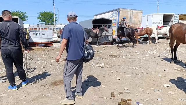 ЖЫЛКЫ БАЗАР ПРИГОРОДНЫЙ 👍💥🔥 ОСПУРУМ ТАЙЛАР БЭЭЛЕР АТТАР 15/06/24/реклама учун Воцап 0707-388-350 смотреть онлайн