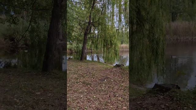 ВРЕМЯ - ВОДА смотреть онлайн