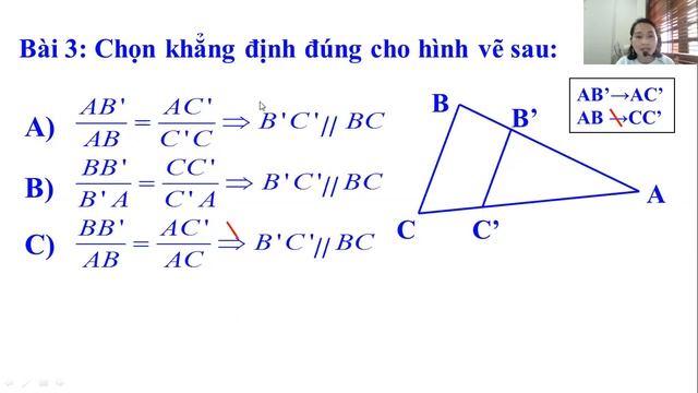 Toán8 THCS Lê Mao смотреть онлайн