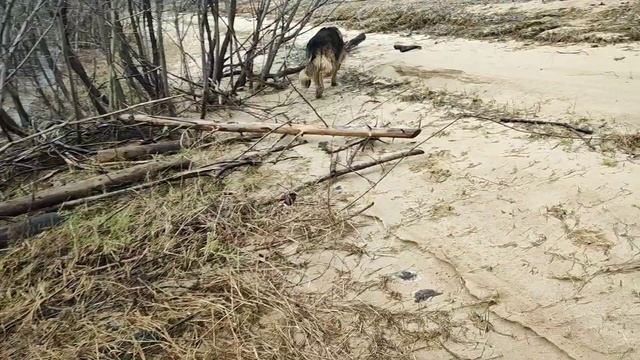 Ходим около воды, пока нет комаров☝😁 смотреть онлайн